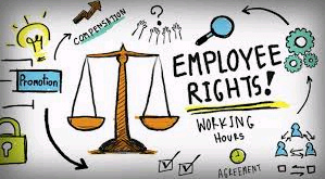 Dutch labour law | GLE News