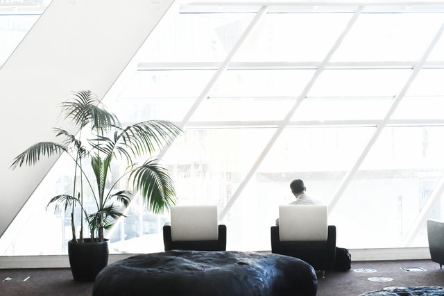 Individual seated in a modern office space with large windows, surrounded by plants and minimalist furniture.