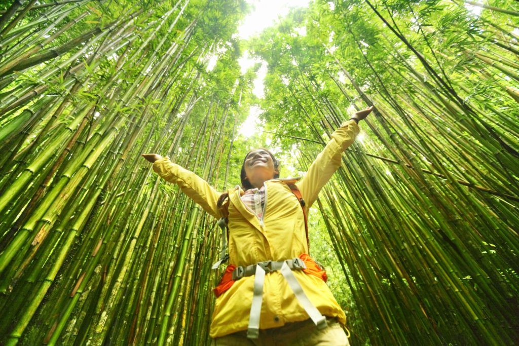 Person with arms outstretched, wearing a yellow jacket, standing among tall bamboo plants in a lush green forest.