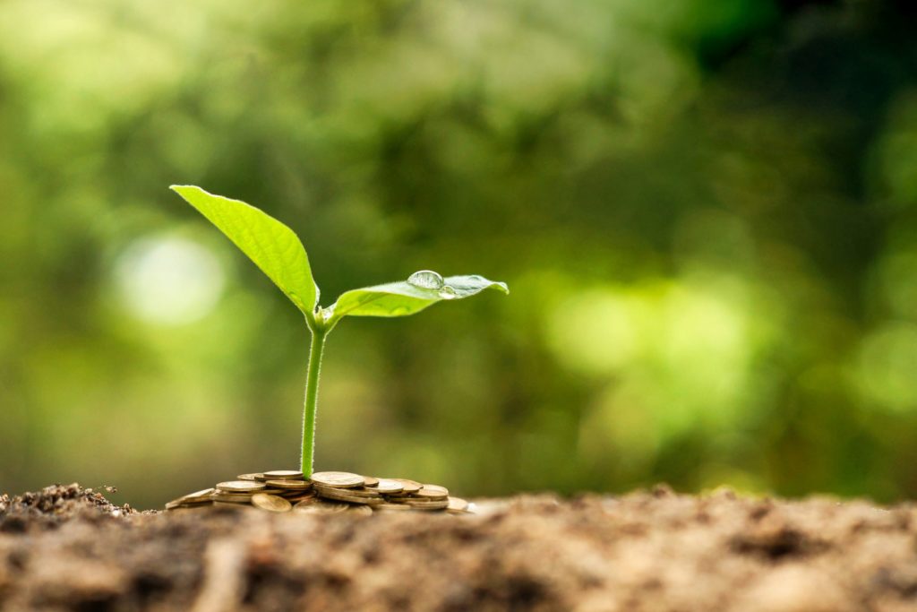 Young plant sprouting from a pile of coins on brown soil, symbolizing growth and investment in a natural setting.