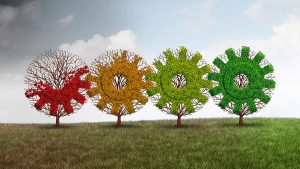 Four stylized trees in different colors representing seasonal change, set against a grassy landscape under a cloudy sky.
