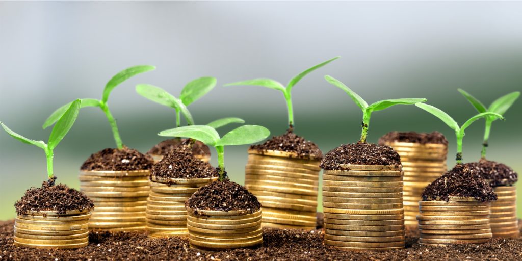 Plants growing from stacks of coins representing investment and financial growth concepts.