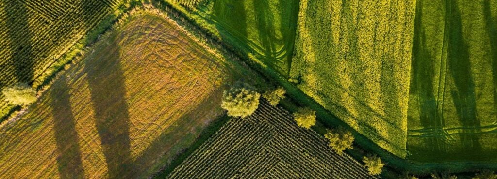 Company Secretary in Malta | GLE News