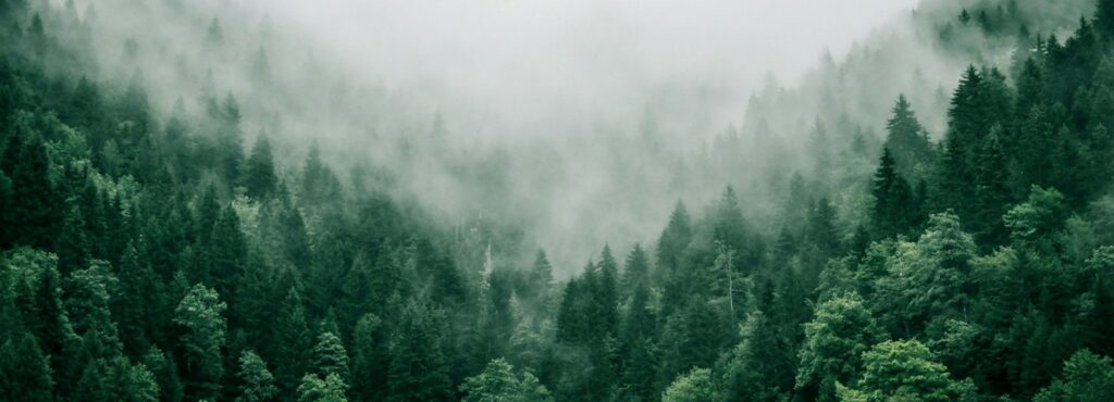 Navigating Compliance | GLE News