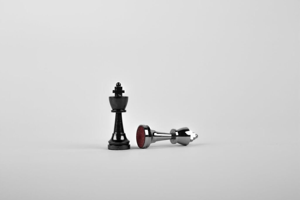 Black king chess piece and a silver pawn on a neutral background, symbolizing strategy and competition.