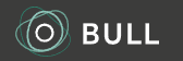 Logo design featuring the word "BULL" in bold white letters, accompanied by an abstract circular graphic.