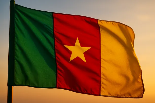 fintech lawyers cameroon