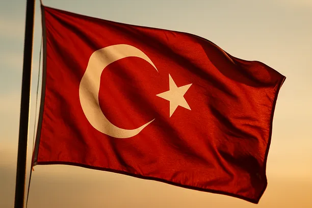 how to propose commitments to the Turkish Competition Authority