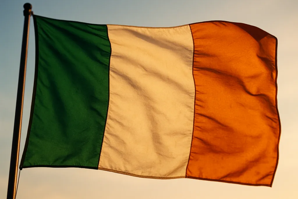 mica nca ireland