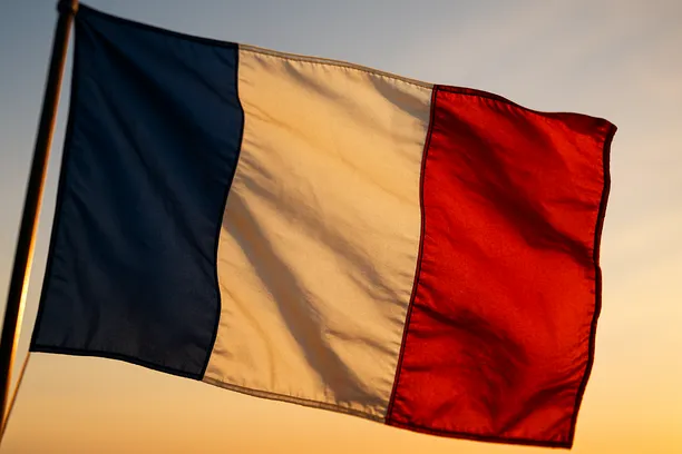 process CSE consultation in France