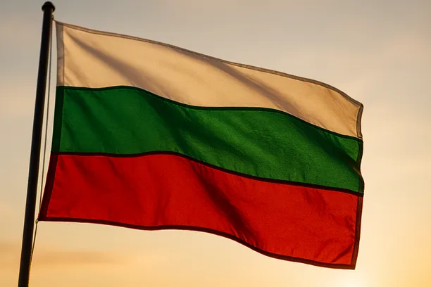 Article 331 vs dismissal Bulgaria