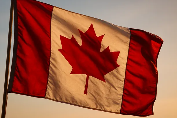 tax litigation lawyers canada